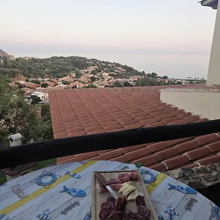 Mari Pintau *