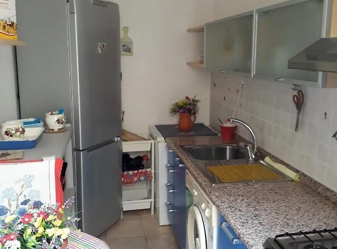 Mari Pintau 杰若米斯